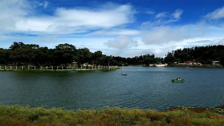 46th Summer festival and Flower Expo at Yercaud ! What is special this year ? Let’s look on the Flower expo Specials&nbsp;!!!